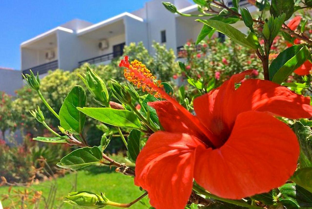 Debbi Appartments And Hotel Ialisos Exterior foto